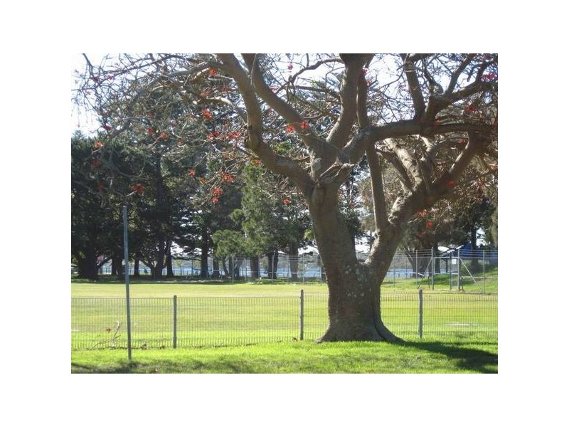 32 Belmont Street, Swansea NSW 2281