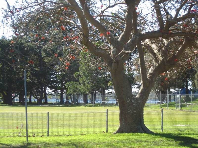 34 belmont Street, Swansea NSW 2281