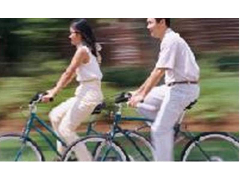 37 Gawler Road, Two Wells SA 5501