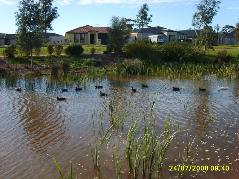 3 Oriana Court, Smithfield SA 5114