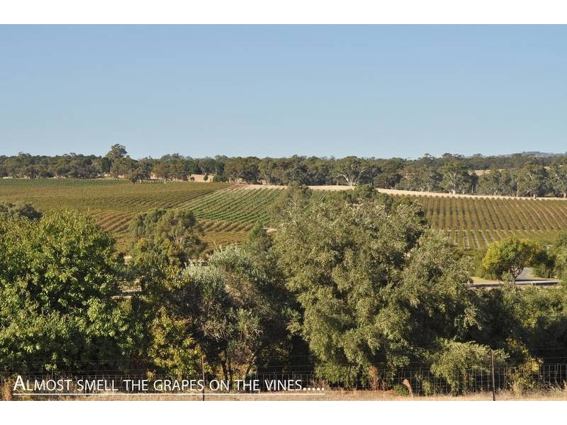 4 Johann Mattner Court, Lyndoch SA 5351