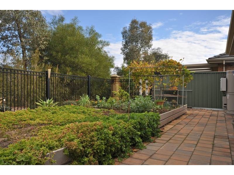 64 Sanctuary Drive, Mawson Lakes SA 5095