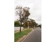 37 Catalina Road, Elizabeth East SA 5112