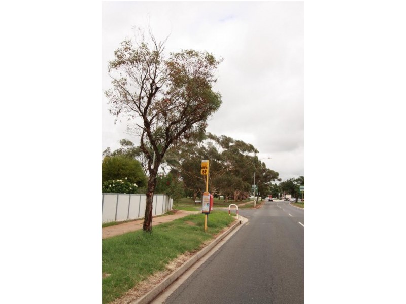 37 Catalina Road, Elizabeth East SA 5112