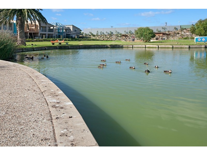 18 Hummock Lane, Mawson Lakes SA 5095