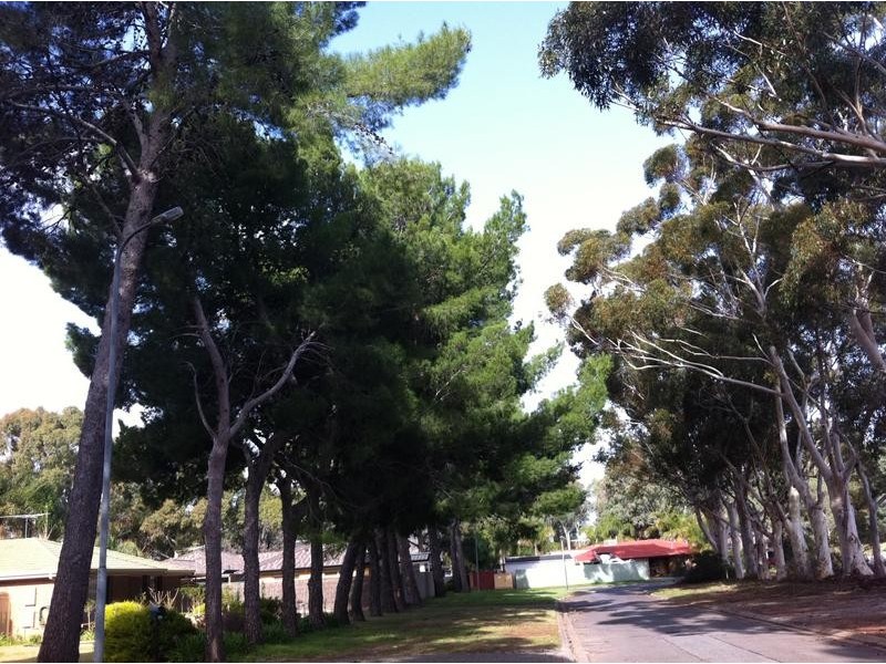 35 Moss Road, Salisbury Park SA 5109