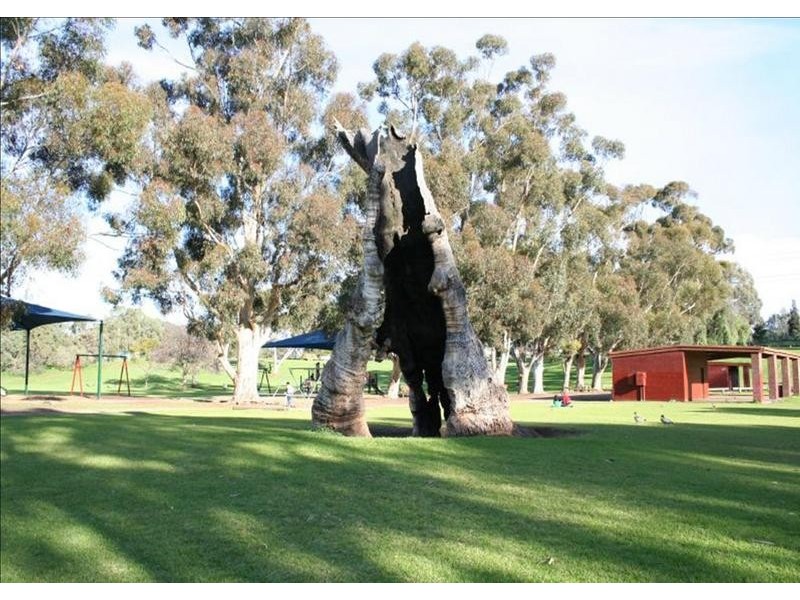 35 Moss Road, Salisbury Park SA 5109