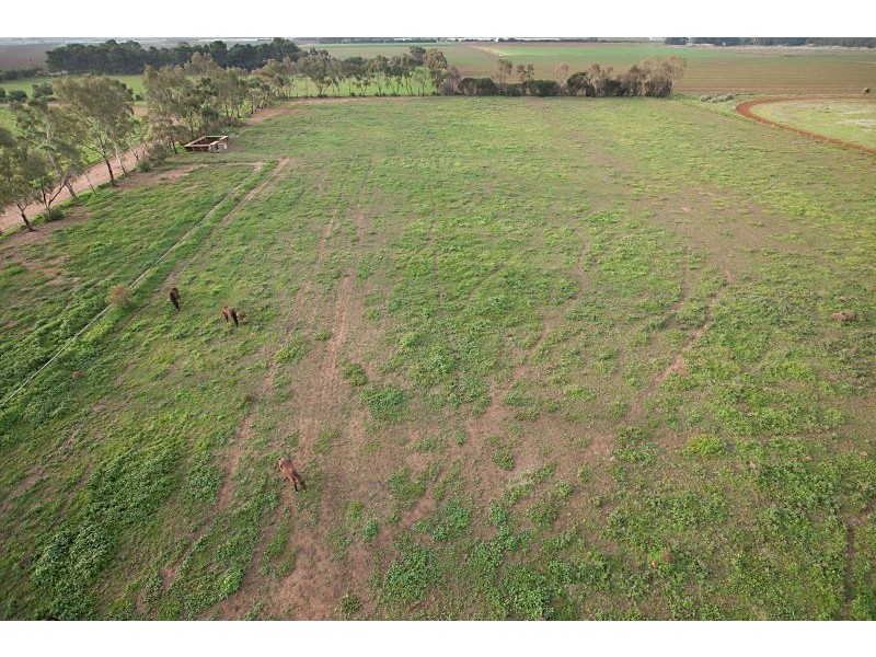 37 Pellew Road, Penfield SA 5121