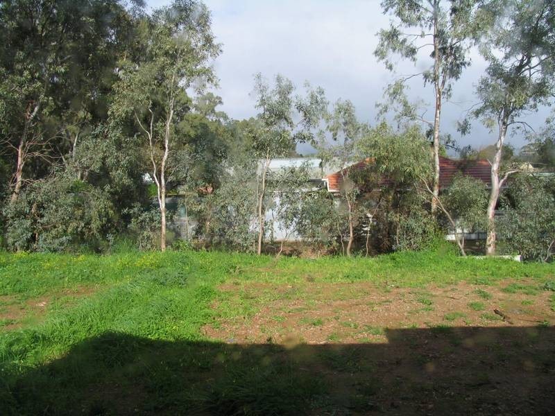 36 Bundey Street, Magill SA 5072