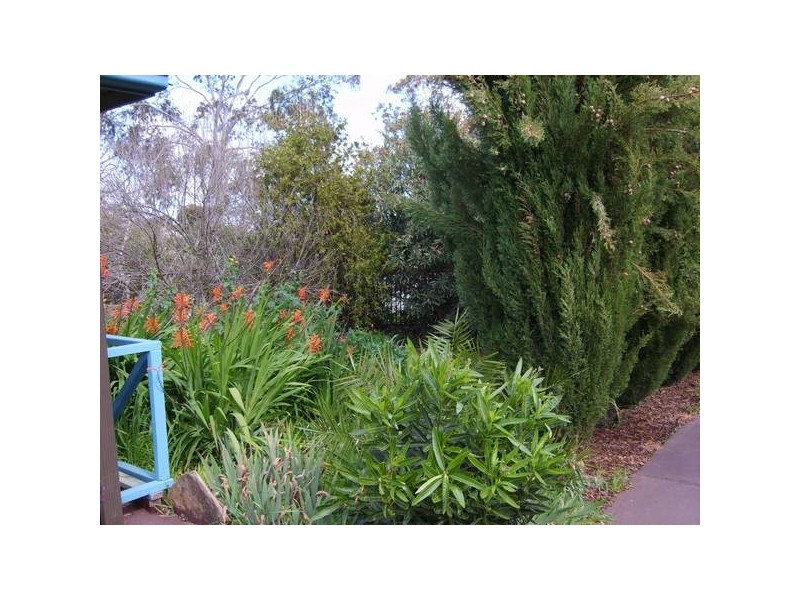 11 Grateley Grove, Elizabeth Grove SA 5112