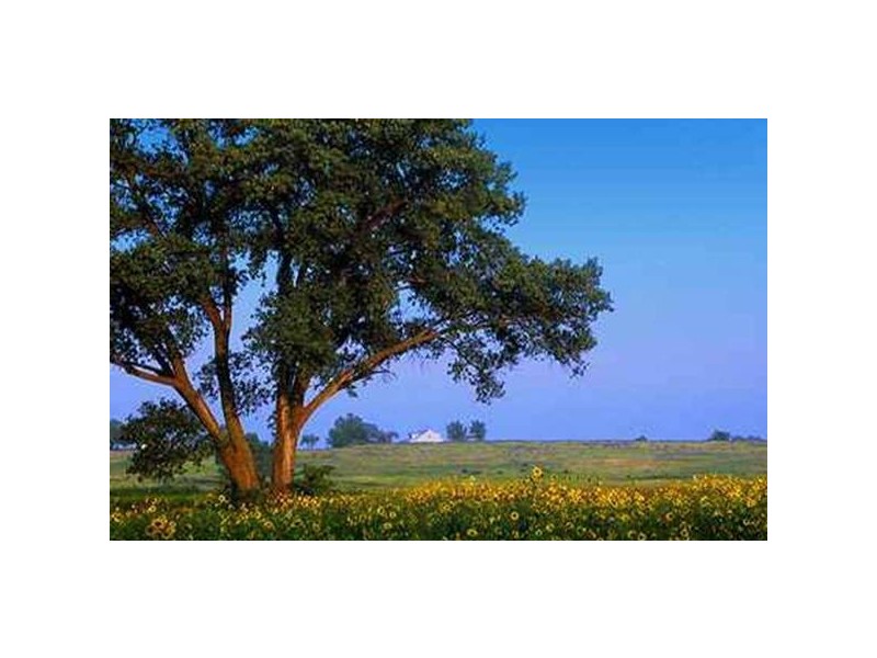 5 Gameau Road, Two Wells SA 5501