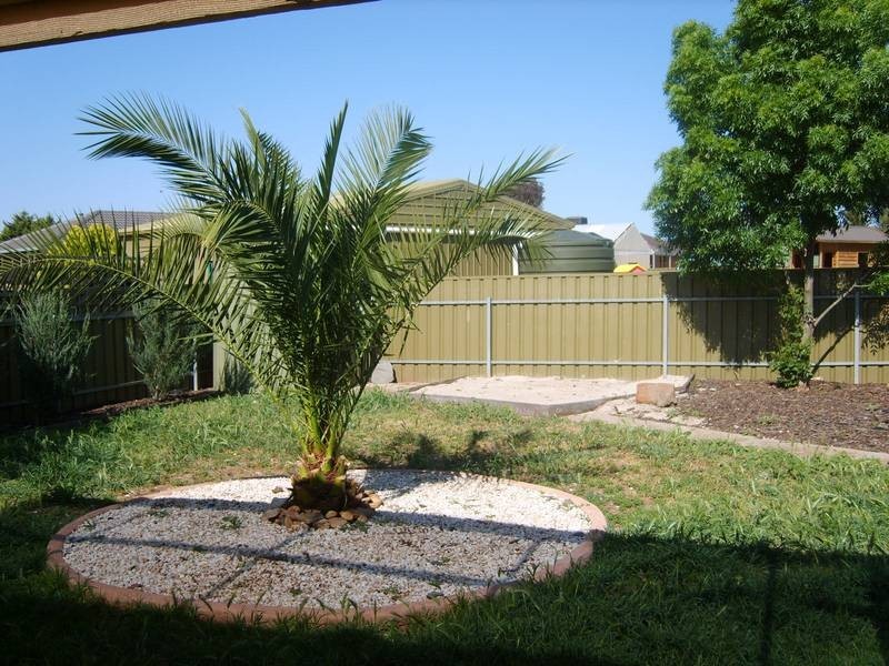 53 President Avenue, Andrews Farm SA 5114