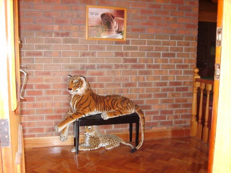 33 Kara Crescent, Gulfview Heights SA 5096