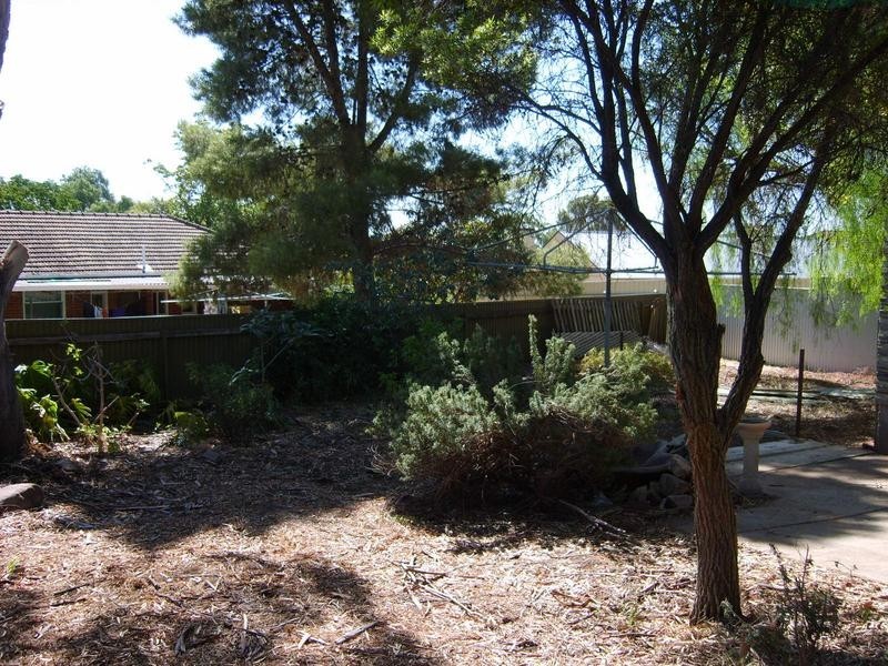11 Tindall Road, Enfield SA 5085