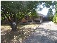 381 Hancock Road, Fairview Park SA 5126