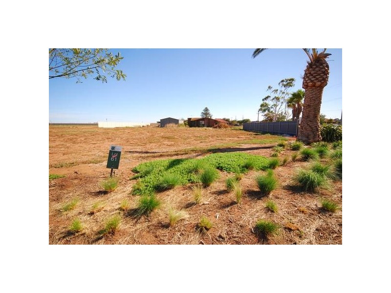 61 & 62 Arbequina Road, Virginia SA 5120