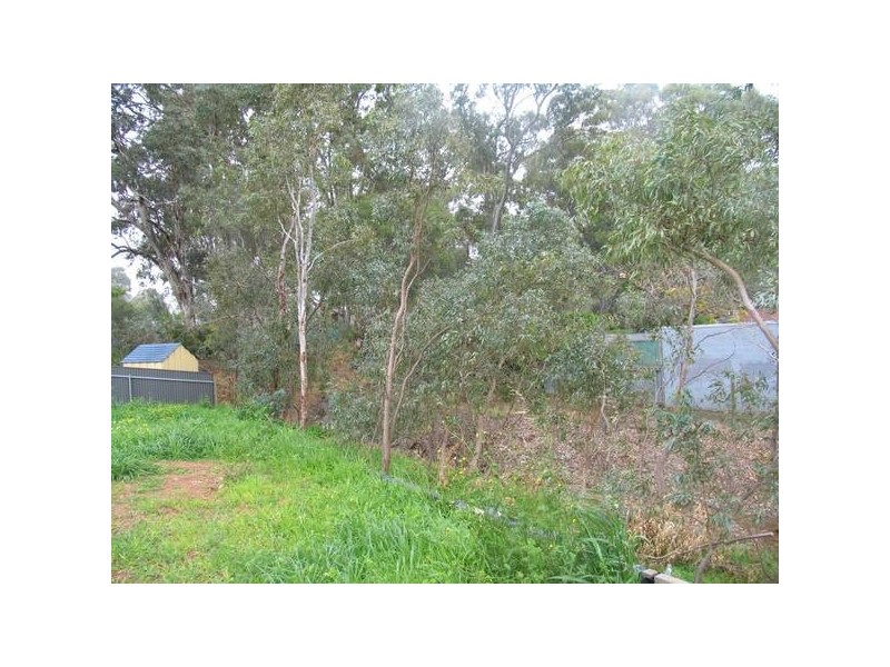 40 Bundey Street, Magill SA 5072