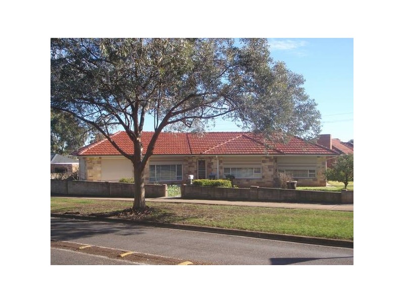 5 Montrose Avenue, Clearview SA 5085