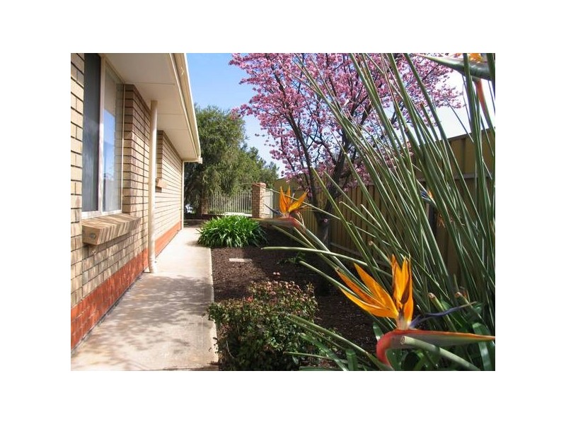 17 Windsor Avenue, Pennington SA 5013