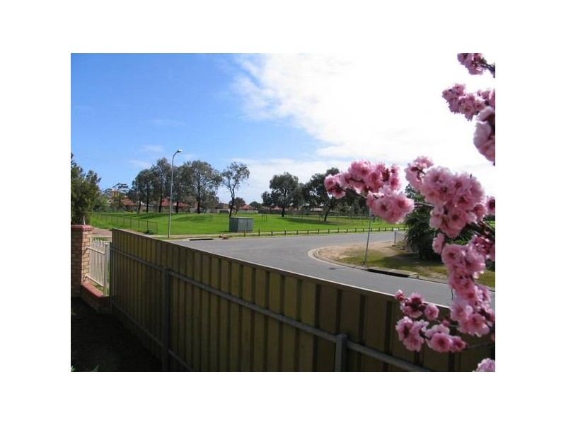 17 Windsor Avenue, Pennington SA 5013