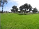 17 Windsor Avenue, Pennington SA 5013