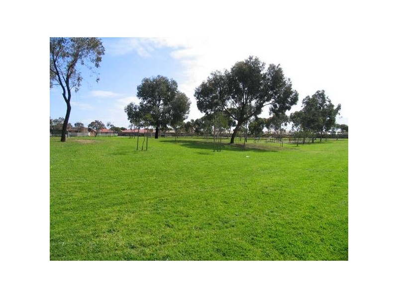 17 Windsor Avenue, Pennington SA 5013