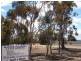 39 Gawler Road, Two Wells SA 5501