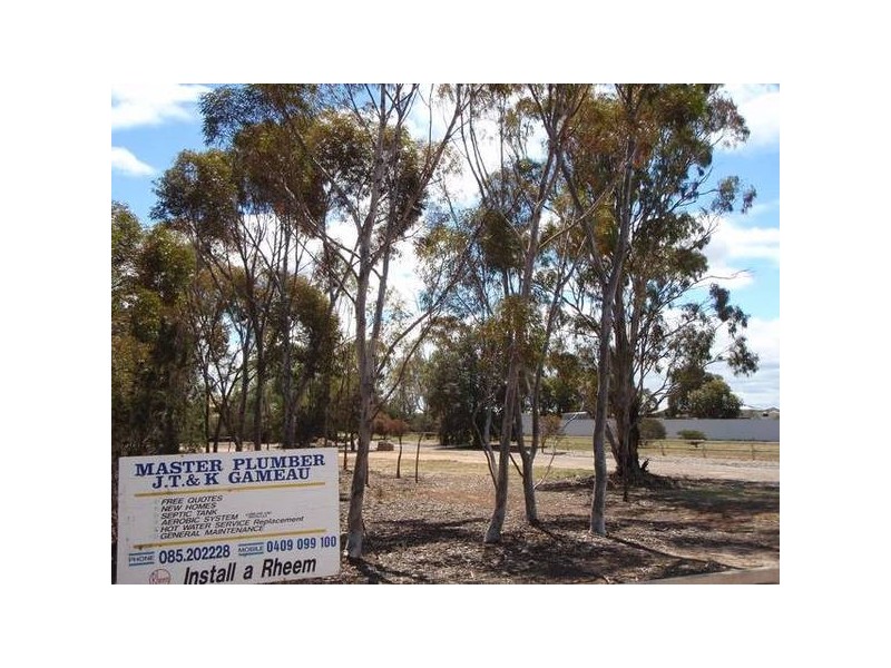 39 Gawler Road, Two Wells SA 5501