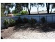 17 McVann Avenue, Paralowie SA 5108