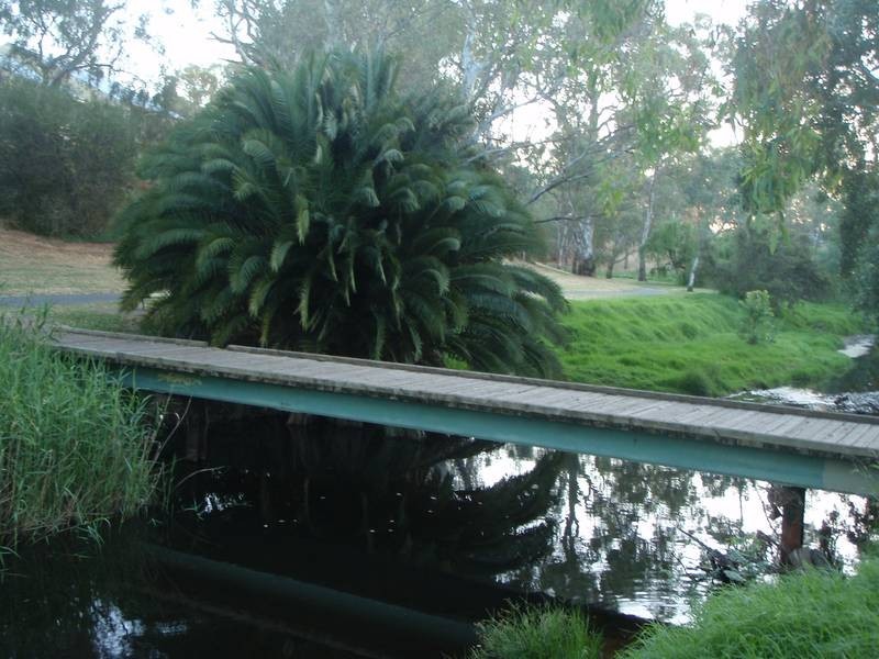 25 Willow Bend, Marden SA 5070