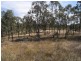 Lot 212,  Rosella Close, Muswellbrook NSW 2333