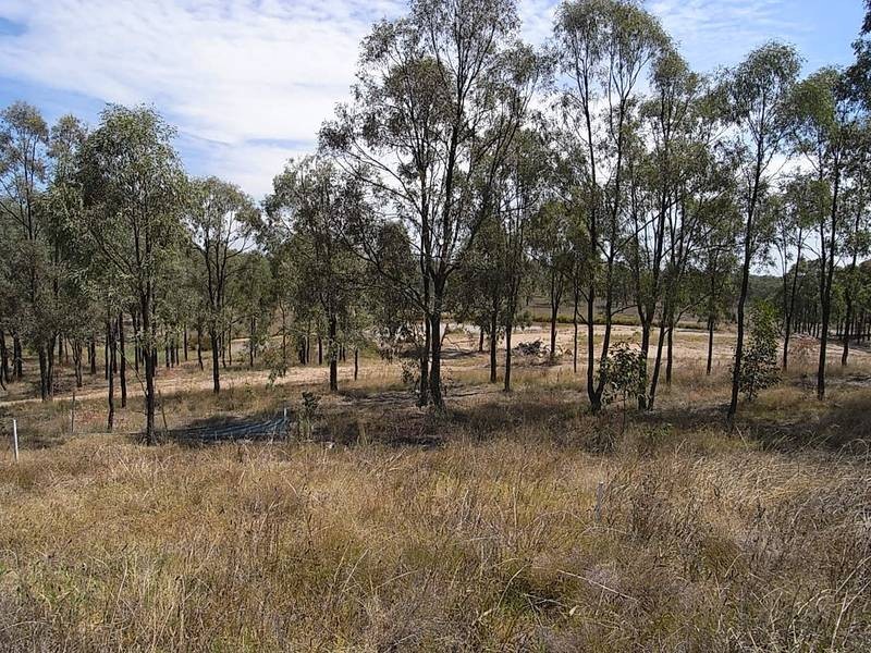 Lot 212,  Rosella Close, Muswellbrook NSW 2333