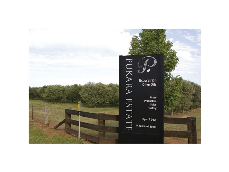 1440 Denman Road, Muswellbrook NSW 2333