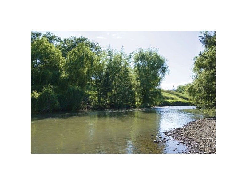 1440 Denman Road, Muswellbrook NSW 2333