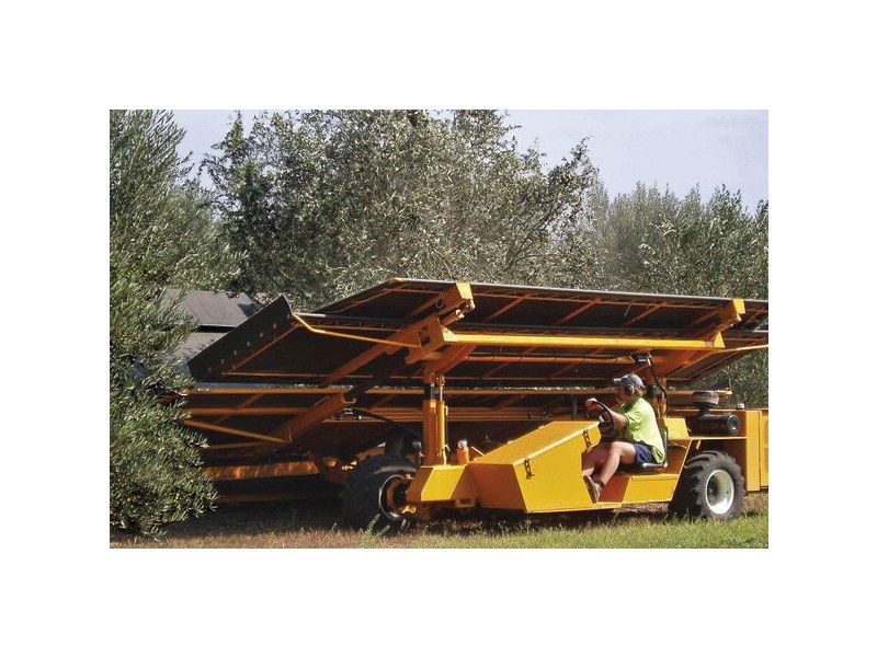 1440 Denman Road, Muswellbrook NSW 2333