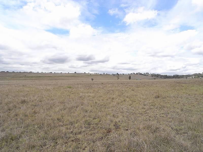 1431 Wybong Road, Muswellbrook NSW 2333