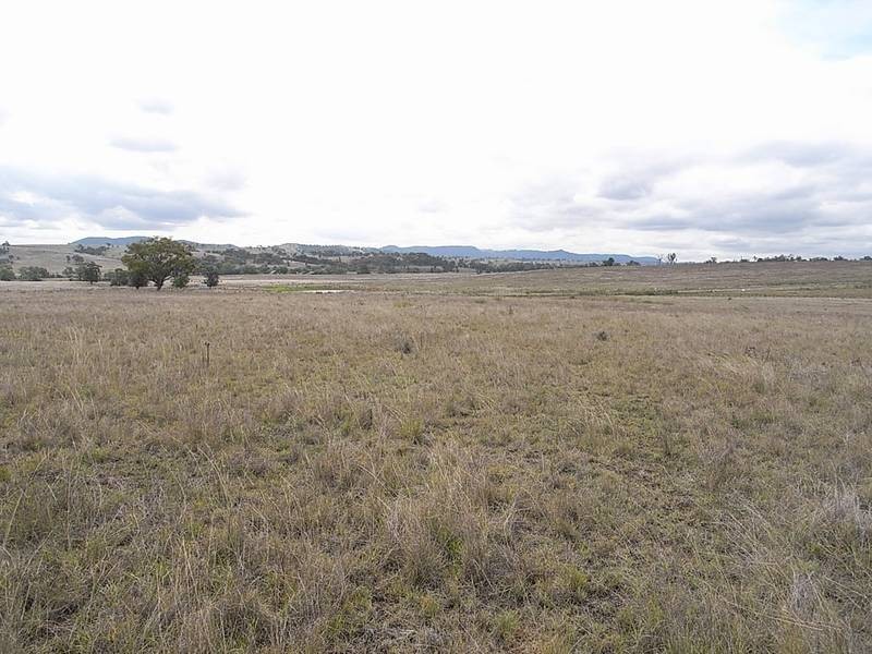 1431 Wybong Road, Muswellbrook NSW 2333