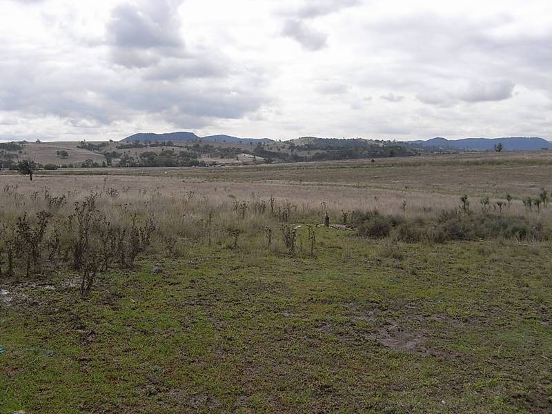 1431 Wybong Road, Muswellbrook NSW 2333