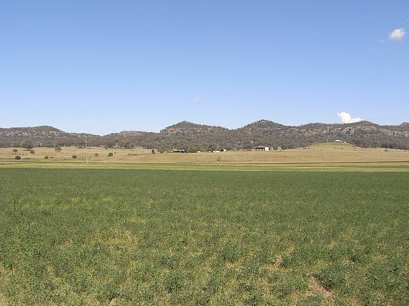 828 Bylong Valley Way, Sandy Hollow NSW 2333