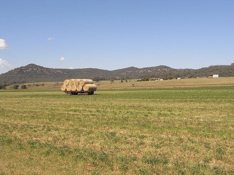 828 Bylong Valley Way, Sandy Hollow NSW 2333