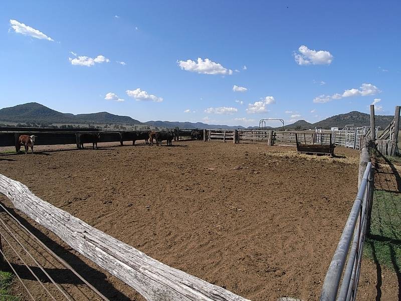 828 Bylong Valley Way, Sandy Hollow NSW 2333