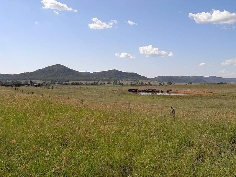 828 Bylong Valley Way, Sandy Hollow NSW 2333