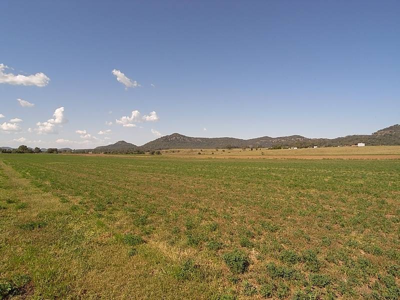 850 Bylong Valley Way, Sandy Hollow NSW 2333