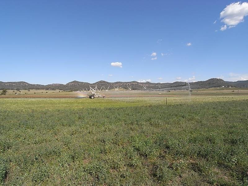 850 Bylong Valley Way, Sandy Hollow NSW 2333