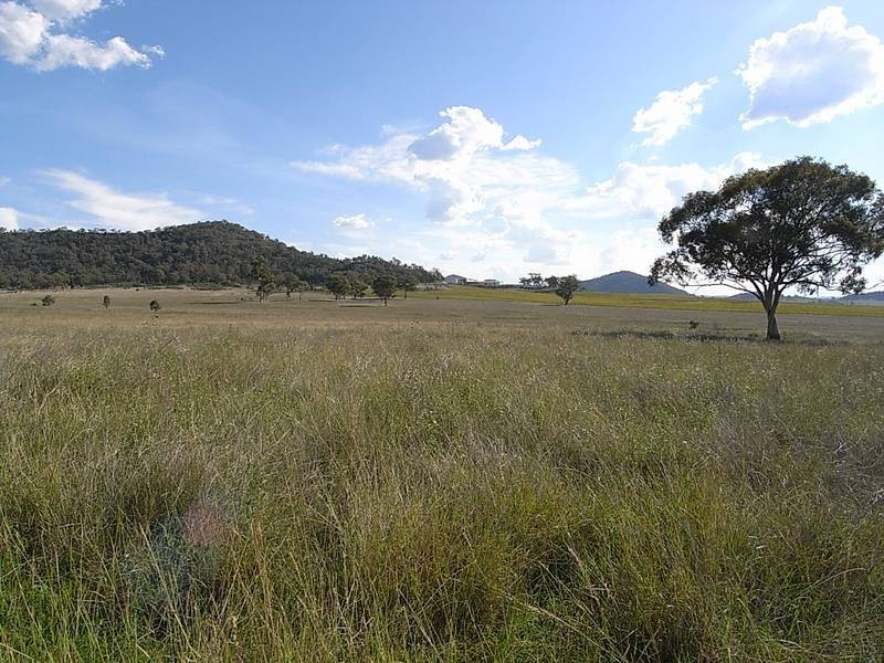 830 Bylong Valley Way, Sandy Hollow NSW 2333