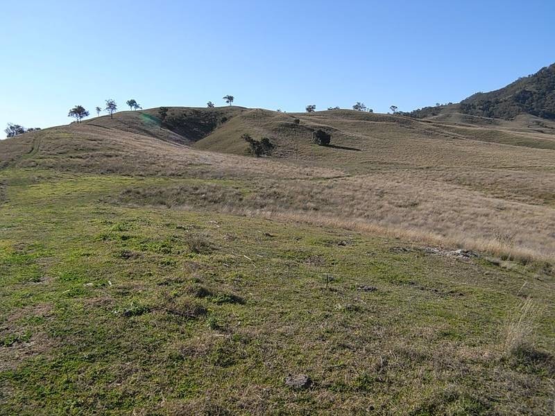 Rouchel Gap Road, Mccullys Gap NSW 2333