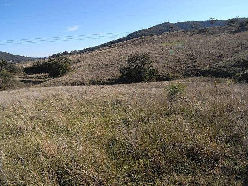 Rouchel Gap Road, Mccullys Gap NSW 2333