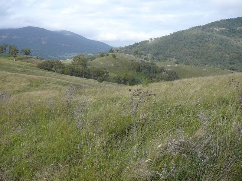 Rouchel Gap Road, Mccullys Gap NSW 2333