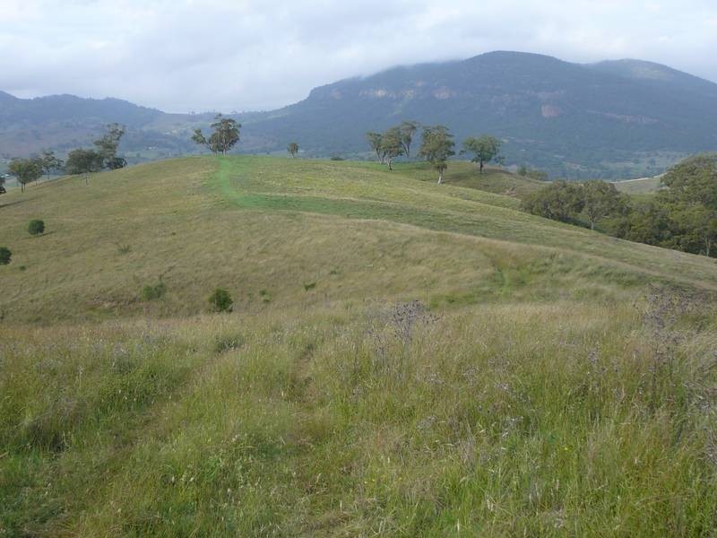 Rouchel Gap Road, Mccullys Gap NSW 2333