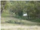 Rouchel Gap Road, Mccullys Gap NSW 2333